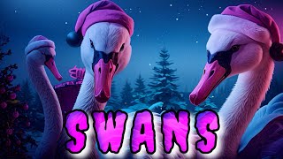 Swans - 12 Days Of Christmas Horror Royalty Free Copyright Safe Music Audio