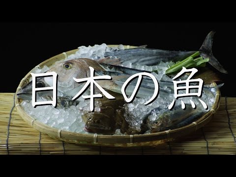 打首獄門同好会「島国DNA」 - YouTube