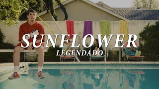 Rex Orange County - Sunflower (Legendado)