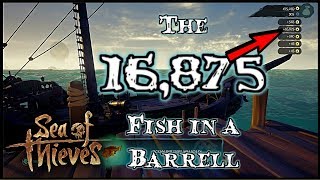 The 16,875 Gold Fish in a Barrell - Sea of Thieves