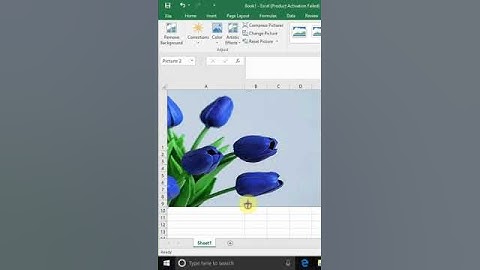 Adjust Photo in Excel Cell Size