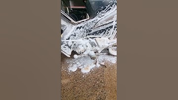 Rửa nhớt nhanh không cần chà – Bí kíp từ bọt tuyết không chạm!