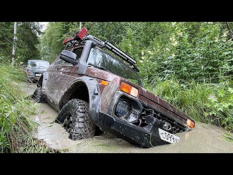 Видео: Юля на Jimny с мужиками в лесу