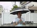 プリマ晴雨兼用アンブレラ ４００円仲台 3scom