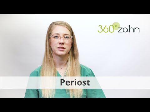 Periost - Was bedeutet Periost? | Dental-Lexikon | 360°zahn