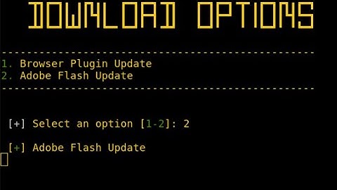 AfricaHackon 2016 - WiFi Social Engineering - Payload download with Wifiphisher