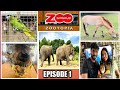 Givskud Zoo | Denmark | Animals from all over the world | Must visit places in Denmark | EP 1