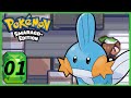 Umzug in die Hoenn Region - Pokemon Smaragd🟩 [01]