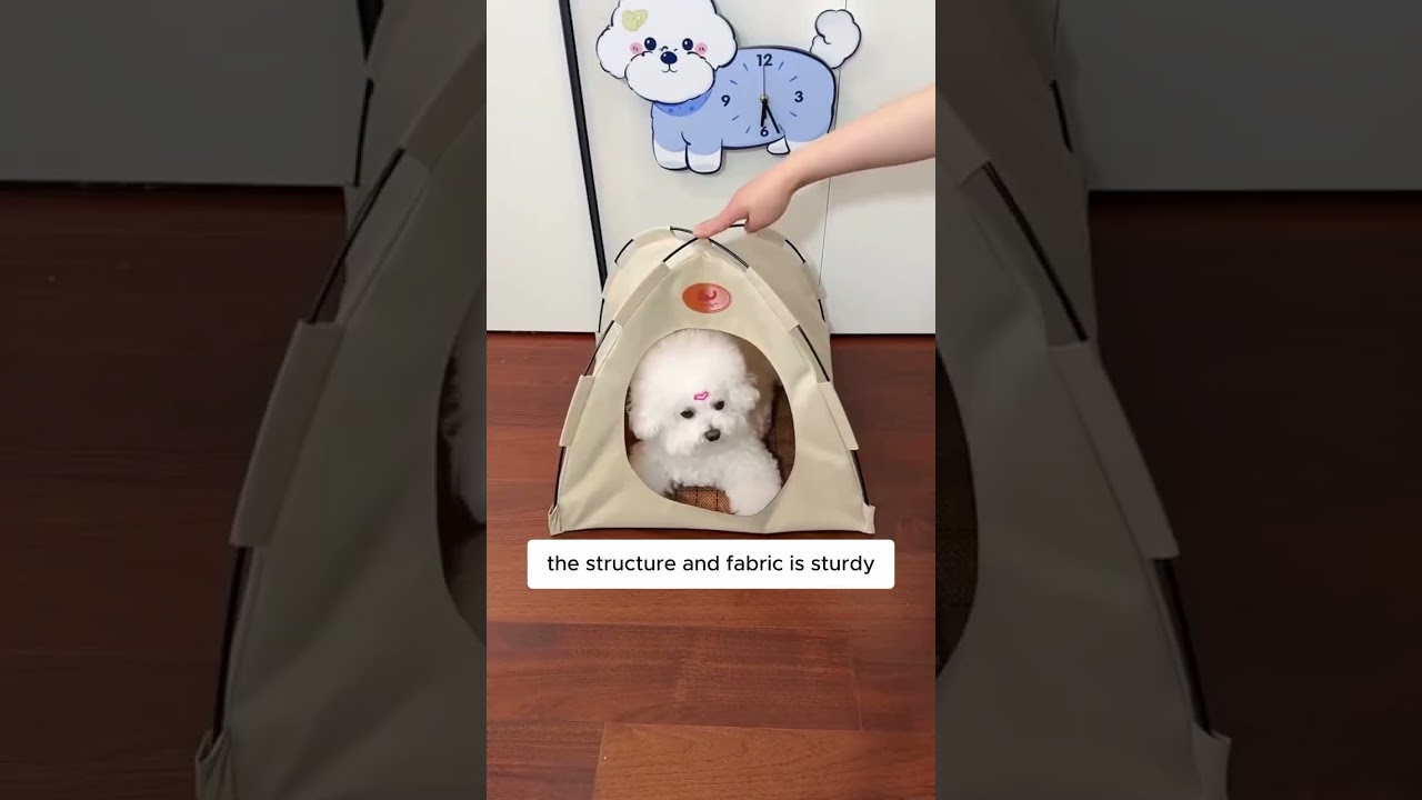 Create the perfect retreat for your cat with this Cozy Pet Cat Tent—grab yours today! 😻✨