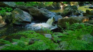 Switzerland Calming Waterfall: Just Relaxing Nature Sound (No Narrator)