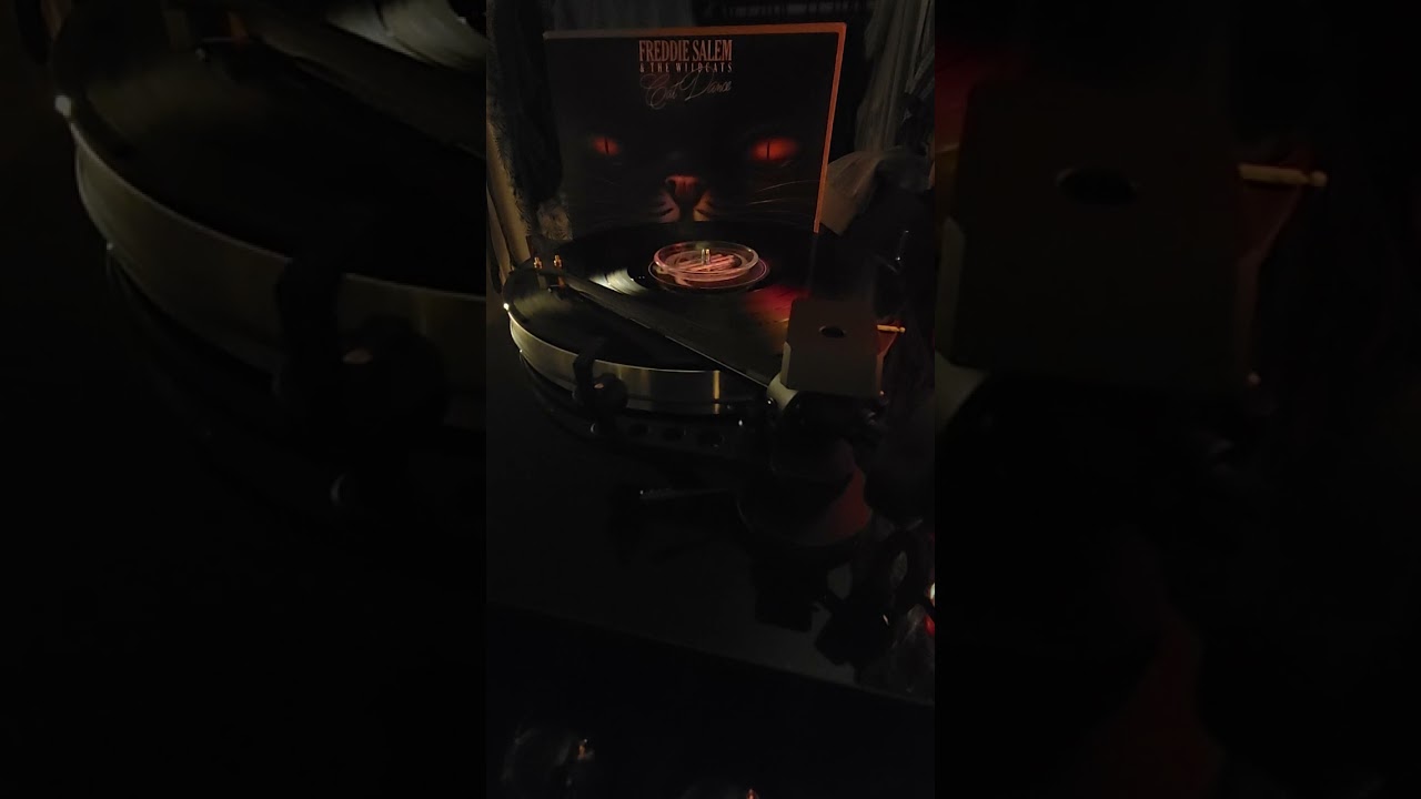 Freddie Salem & The WildCats - Cat Dance (1982) full vinyl LP rip