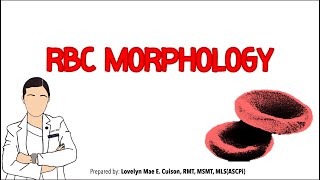 RBC MORPHOLOGY