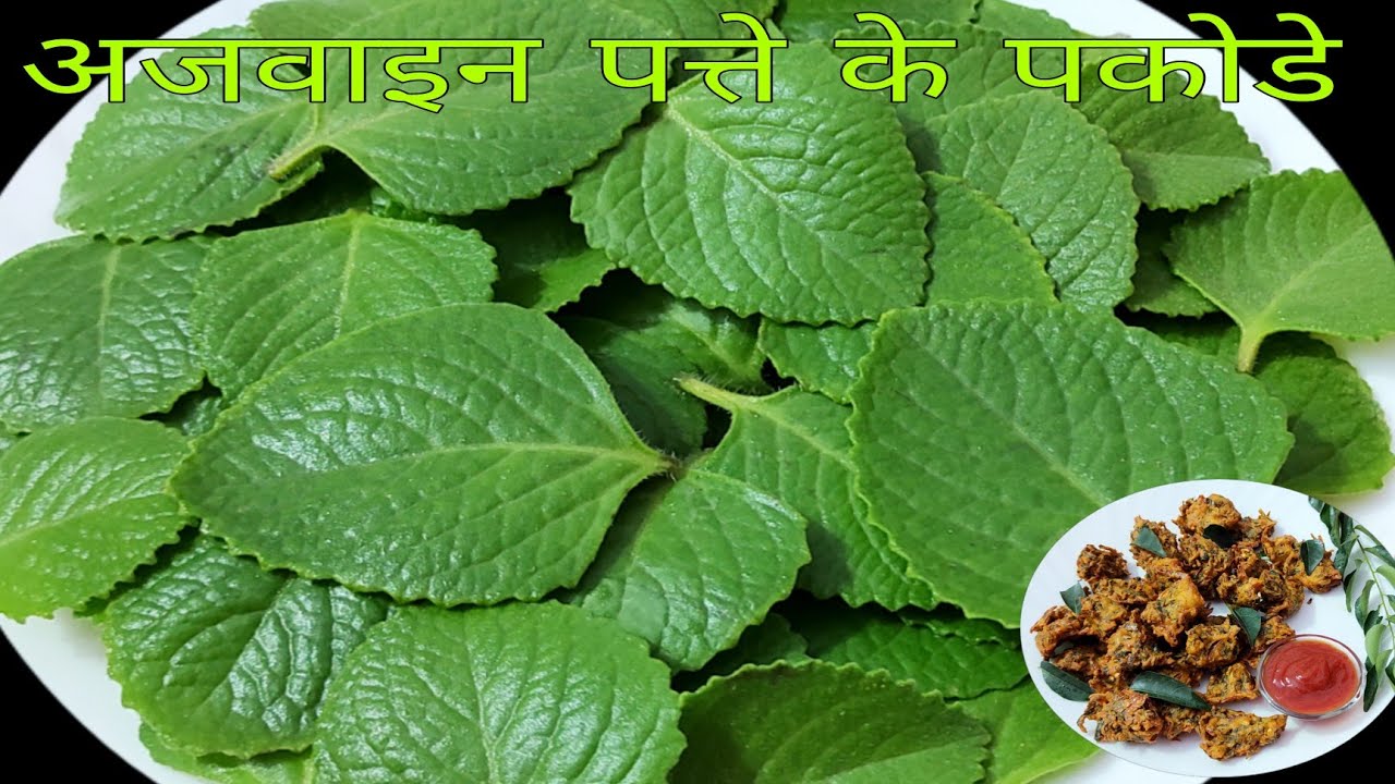 अजवाइन पत्ते के पकोड़े Ajwain ke patte k pakode Ajwain leaves