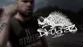 Skunk - Dikobraz (Official Video)