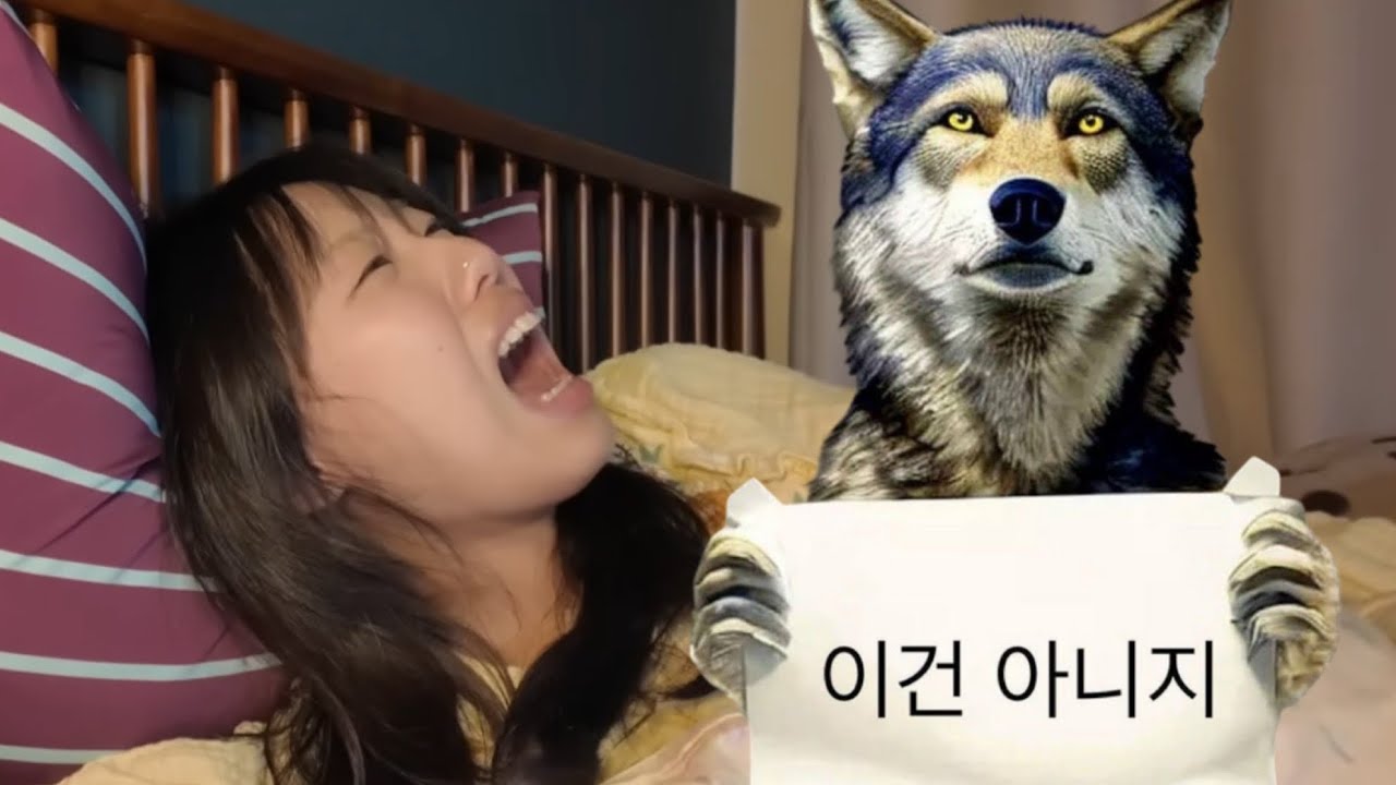 마 비둘기 니 머선 고민있나