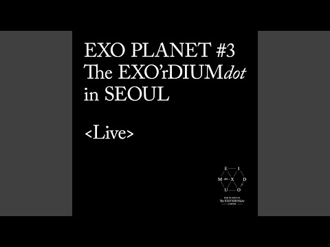 백색소음 White Noise (Live)