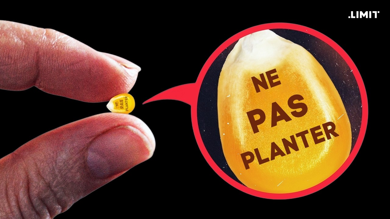 POURQUOI LES AGRICULTEURS N'ONT PAS LE DROIT DE REPLANTER LEUR GRAINES ?