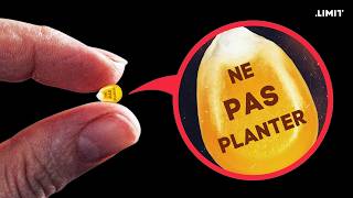 POURQUOI LES AGRICULTEURS N'ONT PAS LE DROIT DE REPLANTER LEUR GRAINES ?