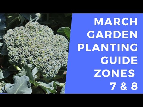 Video: Záhradnícke úlohy pre Washington – Čo urobiť pre svoju záhradu v marci
