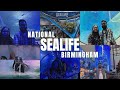 Sea life centre birmingham  full tour  year 2023