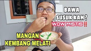 Download Lagu Makan BUNGA MELATI, Sedap Sedap Harum 😍 MP3
