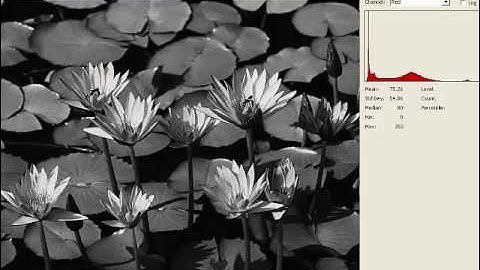 A New Color Filter Array System for Image Acquisition