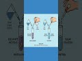 Test for Proteins in Food | NCERT Class 6 Science Experiment | Explained in 1 Minute |