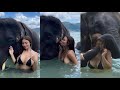 Swimming with elephants in phuket thailand