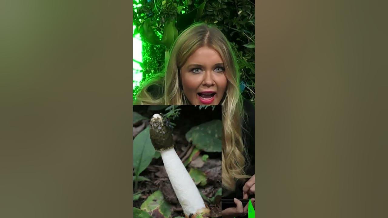 Perverse Fragen mit Laura Karasek shorts YouTube
