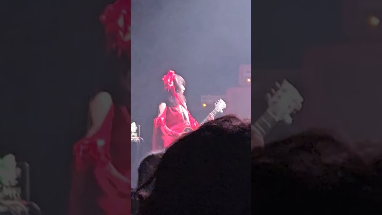 Boris - Seattle 2024