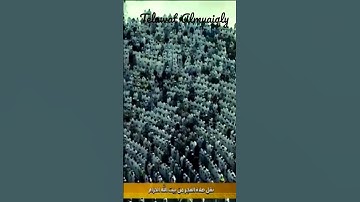 أواخر سورة الزمر [الجزء:٥] بصوت خاشع للشيخ ماهر المعيقلي من الحرم #قران_كريم #الشيخ_ماهر_المعيقلي