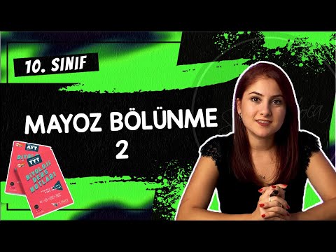 4) MAYOZ BÖLÜNME - 2 | 10. SINIF | TYT BİYOLOJİ DERS NOTLARI | 2024