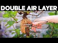 How to double air layer for bonsai  double layering method