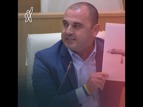 ლევან ხაბეიშვილის გამოსვლა პარლამენტში