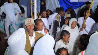 Tigray wedding dance and Tigrigna music መርዓ ትግራይ ሳዕስዒት ጓይላ ደርፊ ትግርኛ  part 206/desdes media ደስደስ ሚድያ 