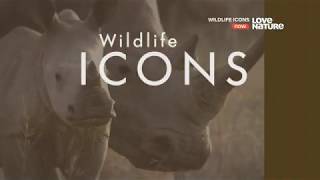 Герои дикой природы / Wildlife Icons : Бригада по уборке 1 серия