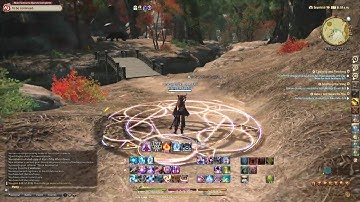 Basic Black Mage Rotation 60+