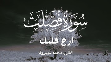 ارح قلبك سورة فصلت كاملة | Surah Fussilat | من أجمل ما ستسمع للقارئ محمد ديبيروف ❤😴فصلت