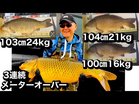 メーターオーバー3連続爆釣ヒット“】鯉釣り約3時間最低気温0℃中