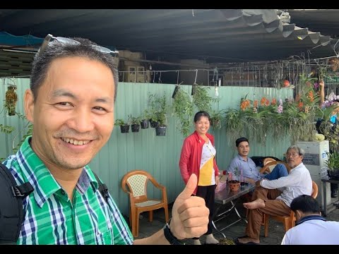 Kỷ Niệm Vui Nhớ Đời Đi Chợ Lan Ở Thành Thái: Mua Cù Lao Minh, về ra lan cỏ!