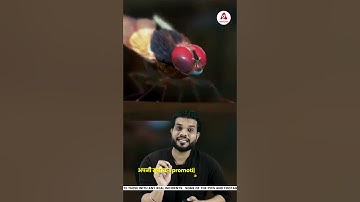 शाहरुख़ खान ने की SS राजामौली की मदद🔥 | A2 Motivation |