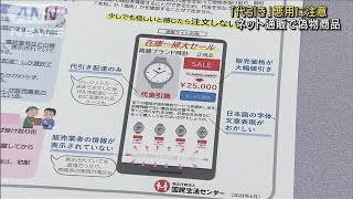 ネット通販で偽物商品 「代引き」悪用に注意(2023年5月3日)