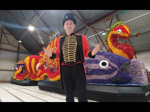 Talks: Flower Parade Lisse