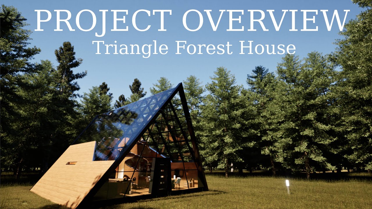 Triangle Forest House Overview
