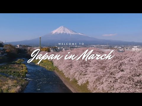 The Best Things to Do in Japan in March | Cherry Blossoms and Beyond