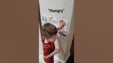 Child with nonverbal autism uses picture visuals to communicate