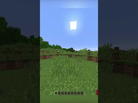 The WEIRDEST Minecraft