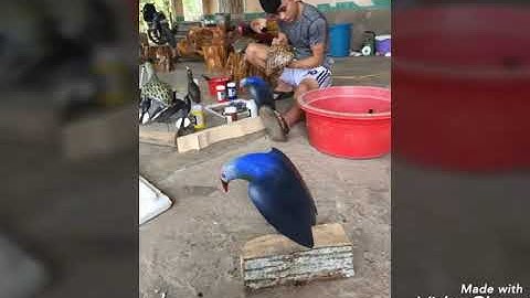 Tiếng  trích  cồ