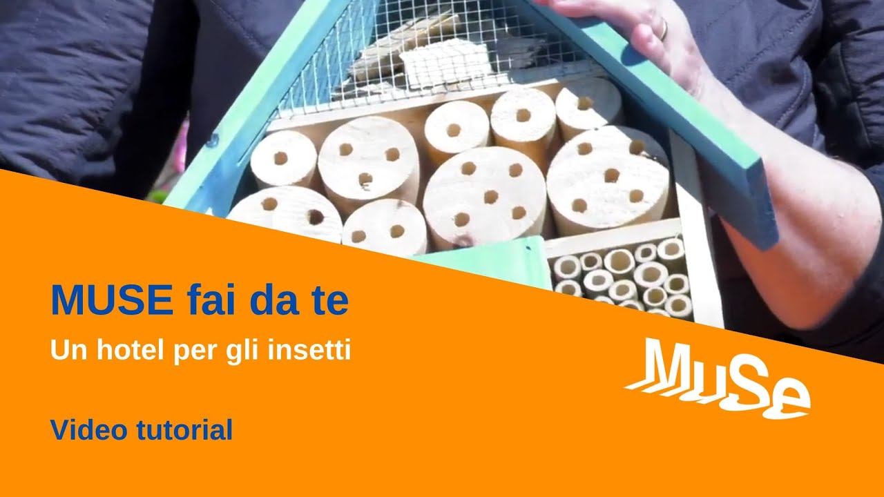 MUSE fai da te - Un hotel per gli insetti