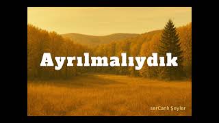 Ayrılmalıydık 